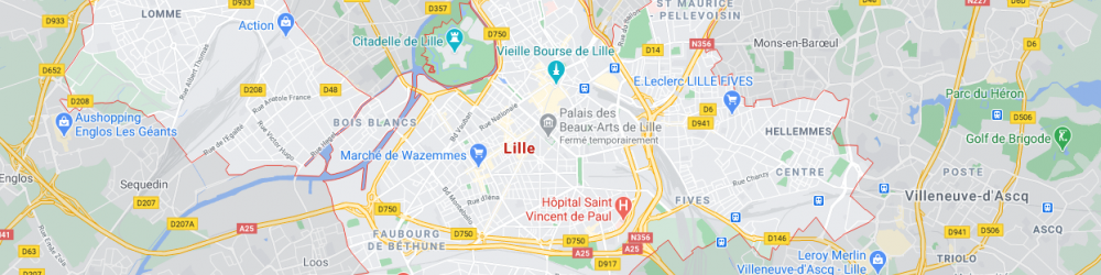 Carte Lille